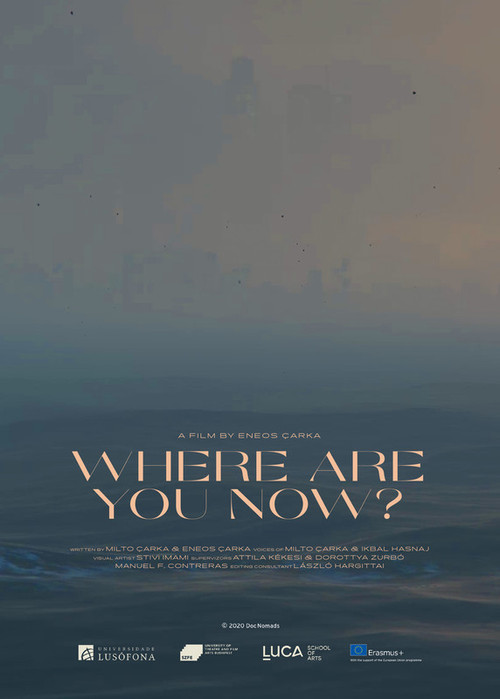 Where Are You Now? (2020) poster