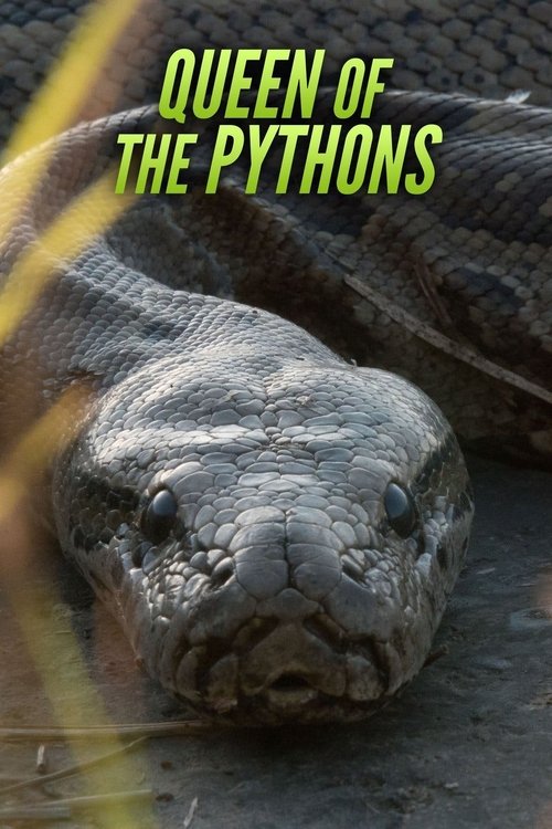 Queen of the Pythons (2019) poster