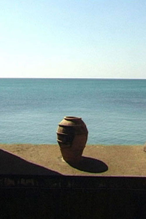 Windows, Dogs And Horses (2006) poster