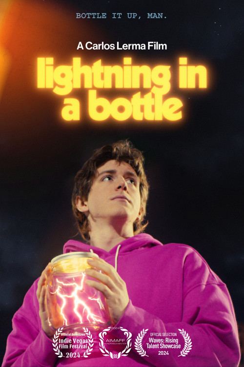 Lightning in a Bottle (2024) poster
