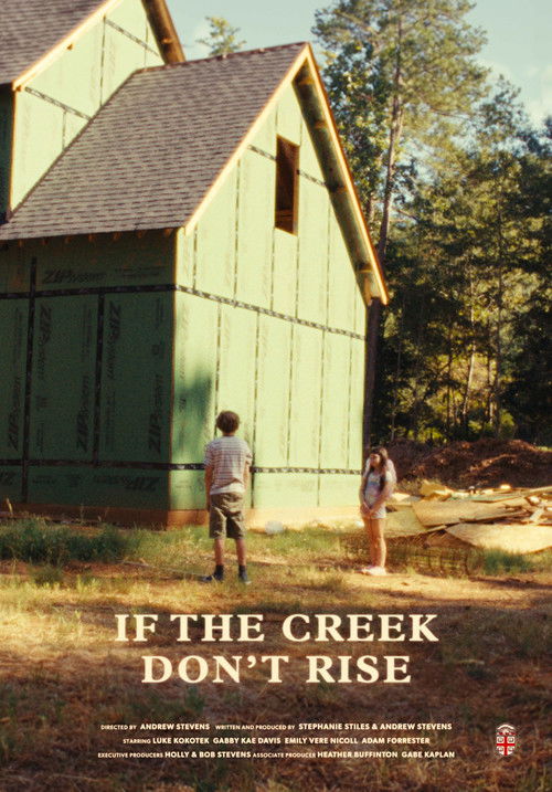If the Creek Don't Rise (2025) poster