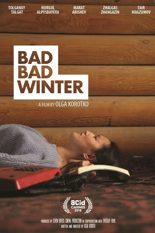 Bad Bad Winter (2018) poster