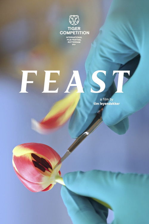 Feast (2021) poster