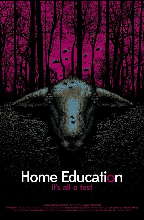 Home Education (2016) poster