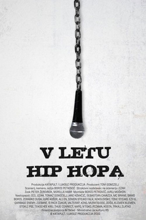 In the Year of Hip Hop (2011) poster