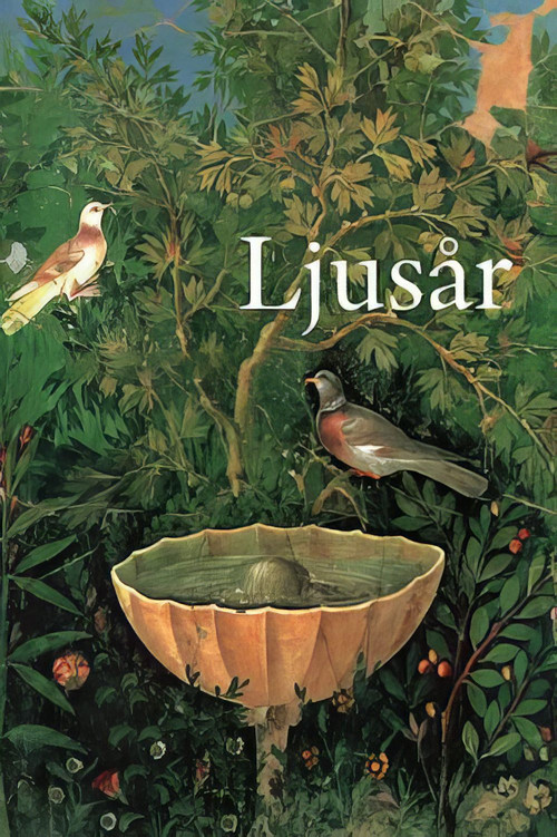 Light Year (2008) poster