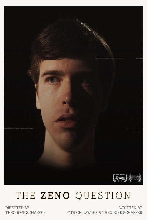 The Zeno Question (2016) poster
