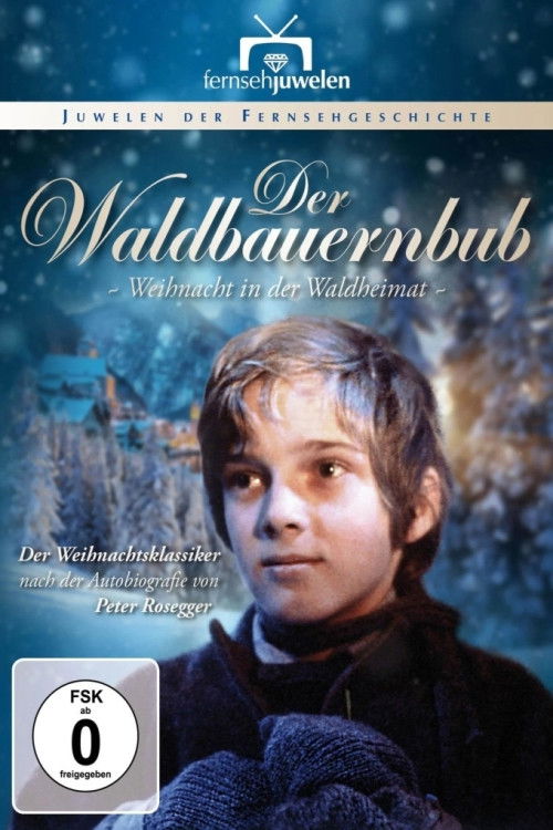Der Waldbauernbub - Weihnacht in der Waldheimat (1983) poster