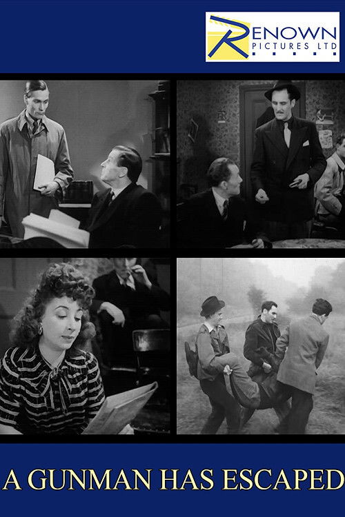 A Gunman Has Escaped (1948) poster