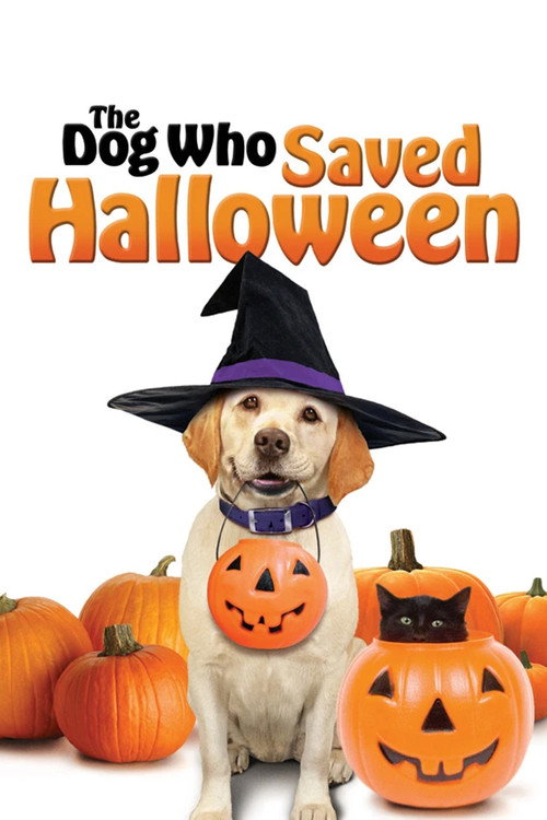 Cadılar Bayramı'nı Kurtaran Köpek (2011) poster