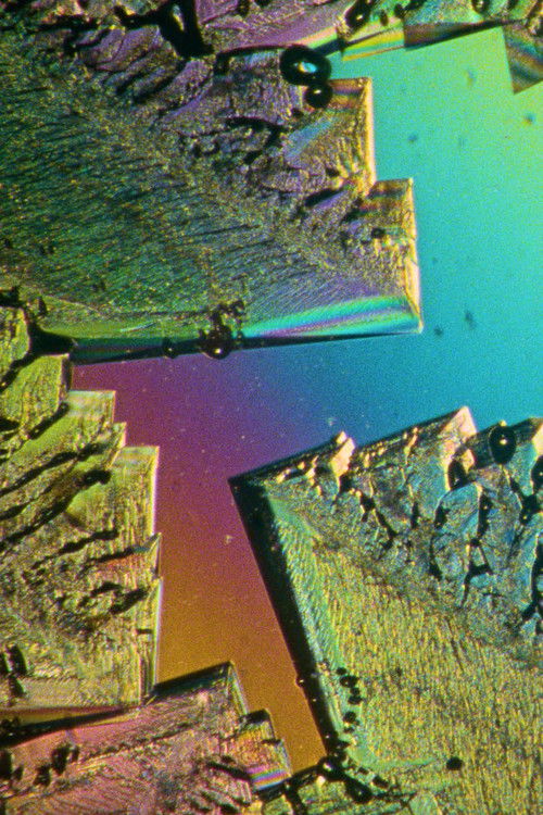 A Creak In Time (2017) poster