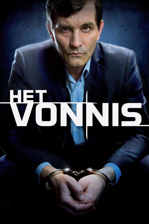 Het Vonnis (2013) poster