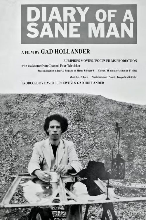 Diary of a Sane Man (1990) poster