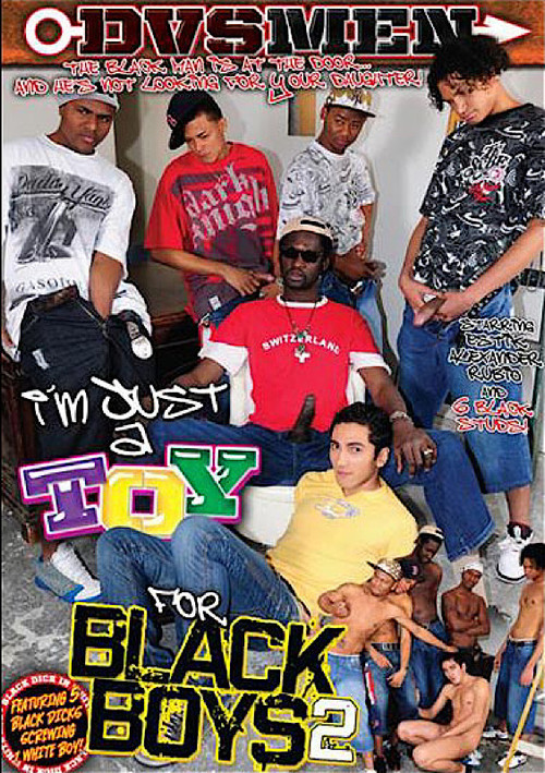 I'm Just A Toy For Black Boys 2 (2010) poster