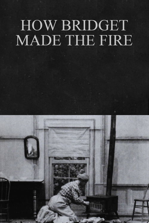 How Bridget Made the Fire (1900) poster