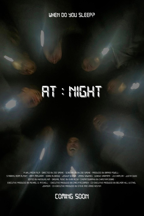 At Night (2024) poster