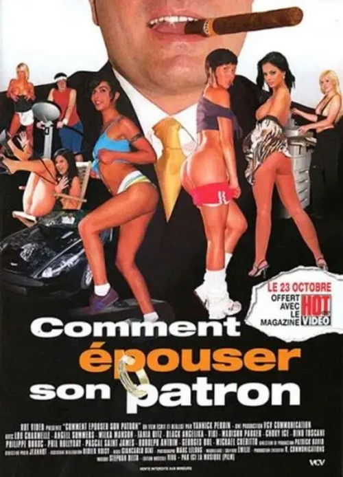 Comment épouser son patron (2009) poster