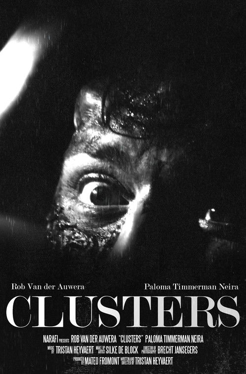 Clusters (2024) poster