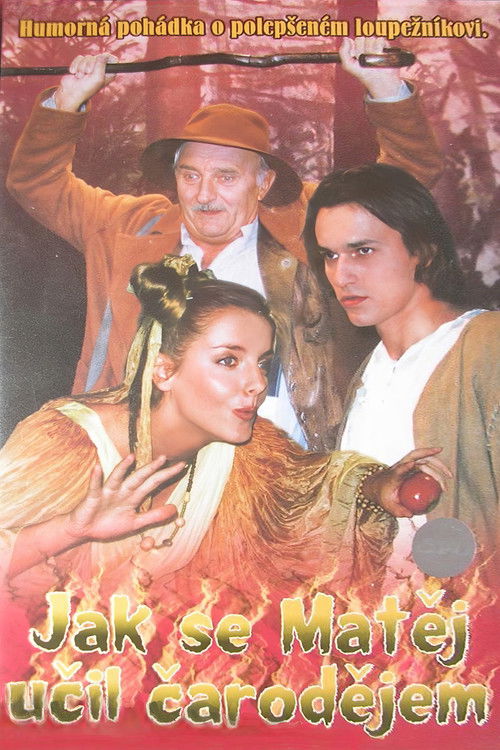 Jak se Matěj učil čarodějem (1998) poster