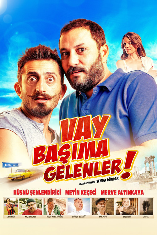 Vay Başıma Gelenler! (2013) poster