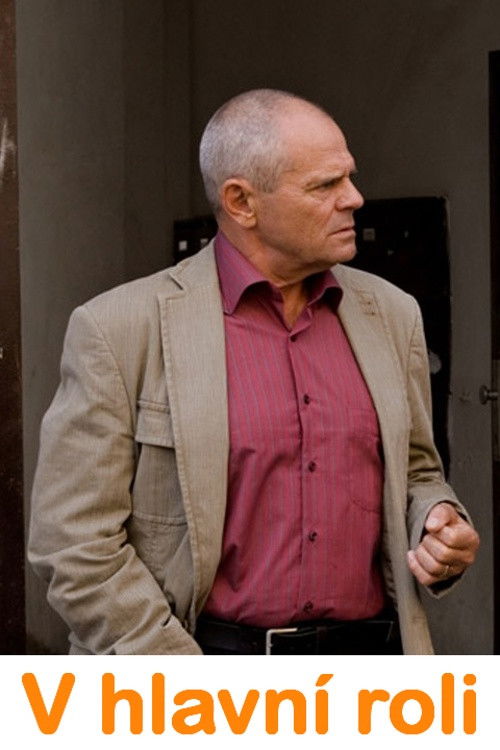 V hlavní roli (2008) poster