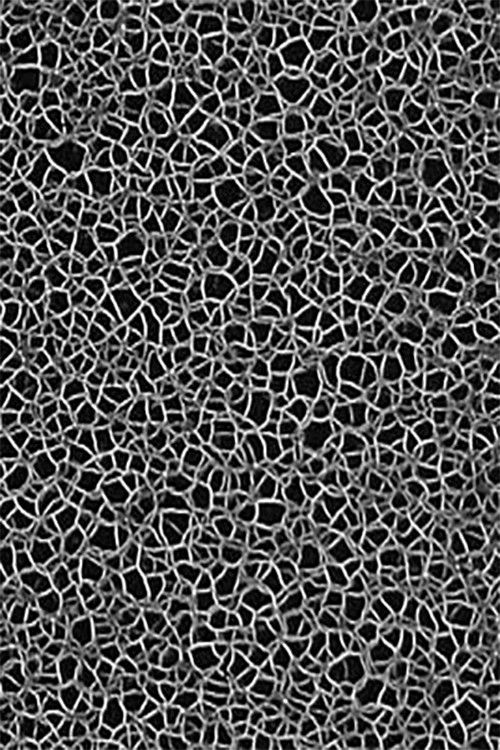 Masses Turbulentes (1976) poster