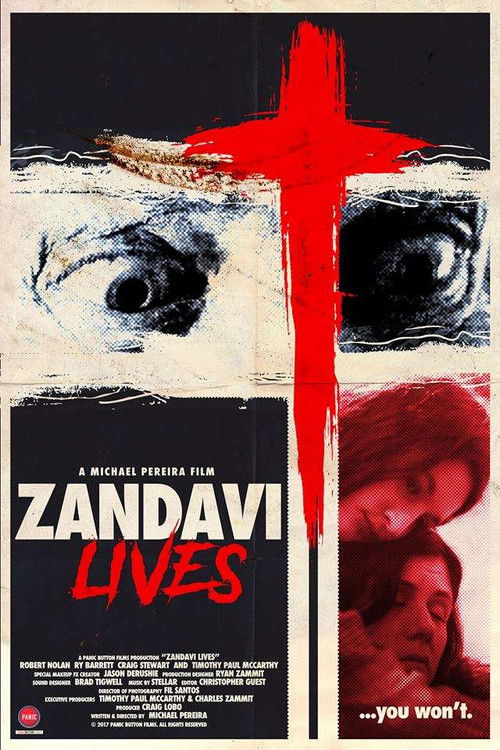Zandavi Lives (2018) poster
