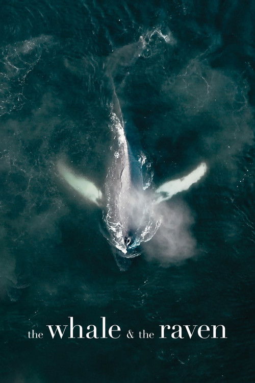 The Whale and the Raven (2019) poster