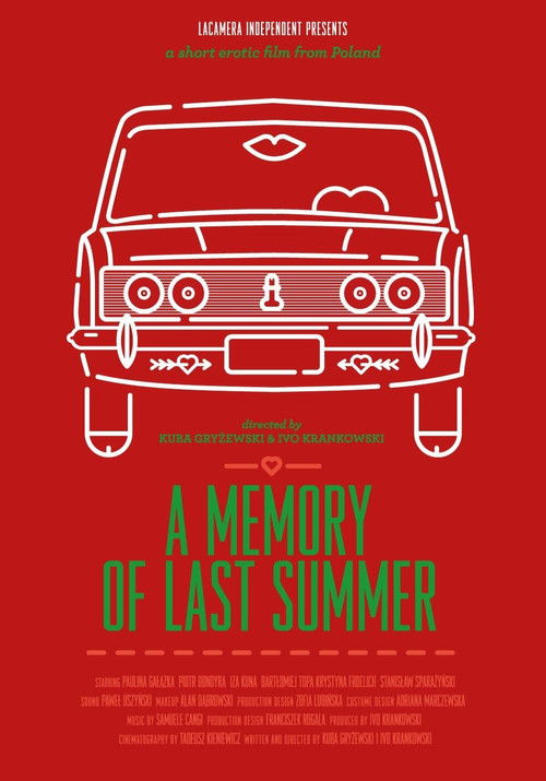 A Memory of Last Summer (2013) poster
