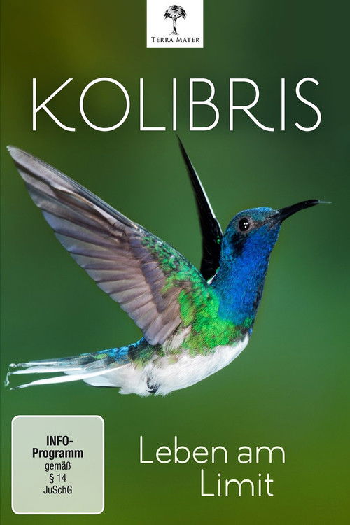 Kolibris - Leben am Limit (2012) poster