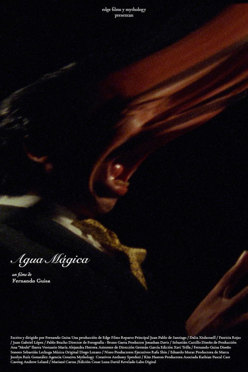 Agua Mágica (2021) poster