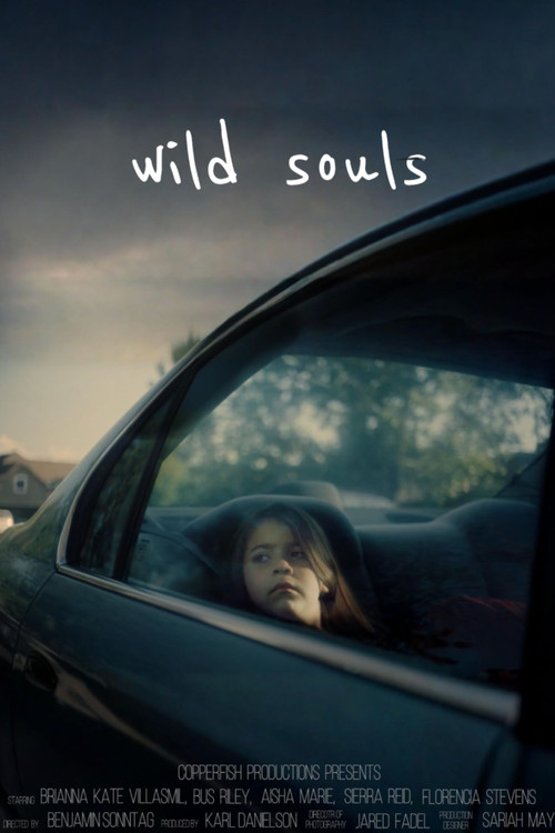 Wild Souls (2021) poster