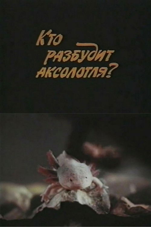 Who Will Wake Up the Axolotl? (1981) poster