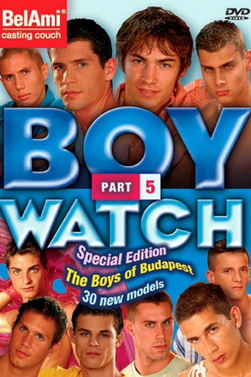 Boy Watch 5 (2005) poster