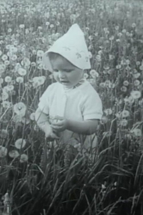 Through the Blooming Linden (1982) poster