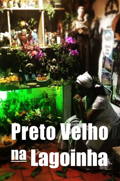 Preto Velho na Lagoinha (2016) poster