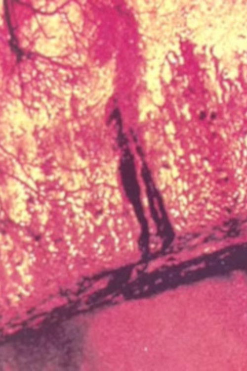 THE FOCUS (2013) poster