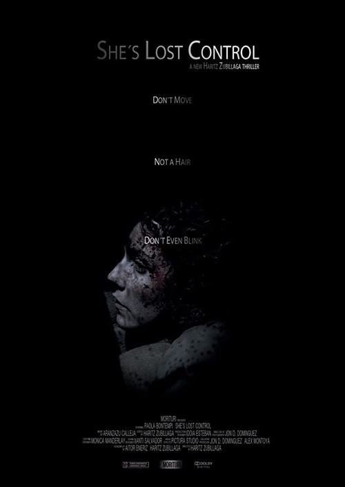 She's Lost Control (2011) poster