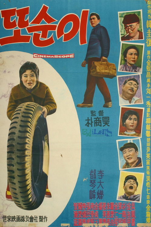 Tosuni: The Birth of Happiness (1963) poster