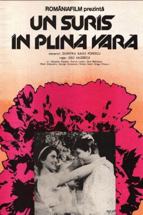 Un surâs în plină vară (1963) poster