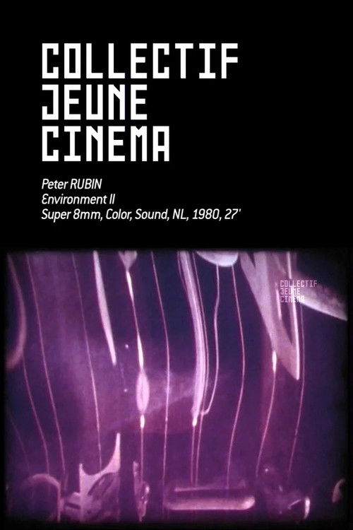 Environment II (1980) poster