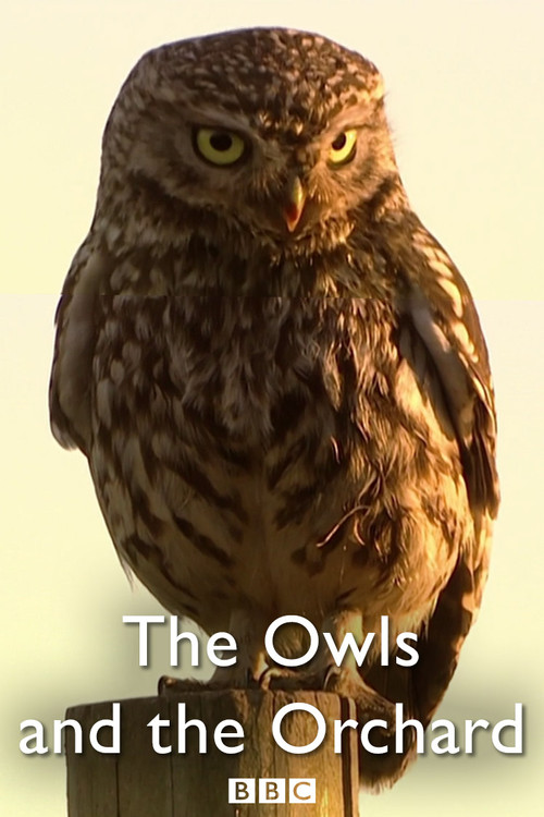 The Owls and the Orchard (2005) poster