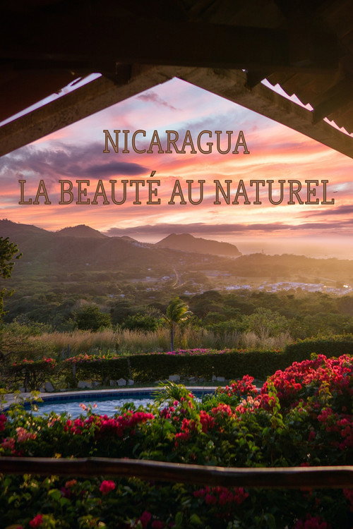Nicaragua, la beauté au naturel (2008) poster