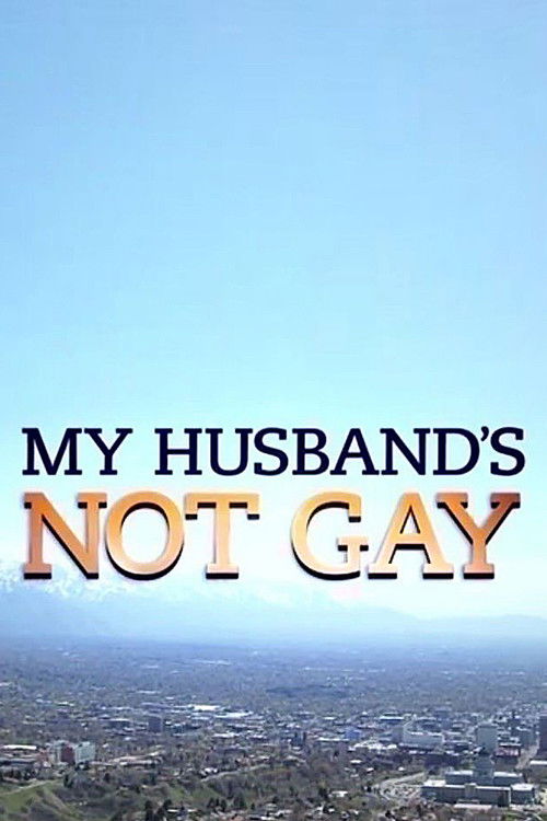 My Husband's Not Gay (2015) poster