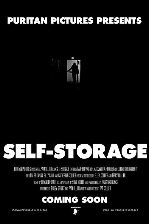 Self-Storage (2020) poster