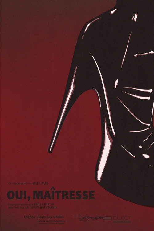 Oui, Maîtresse (2026) poster