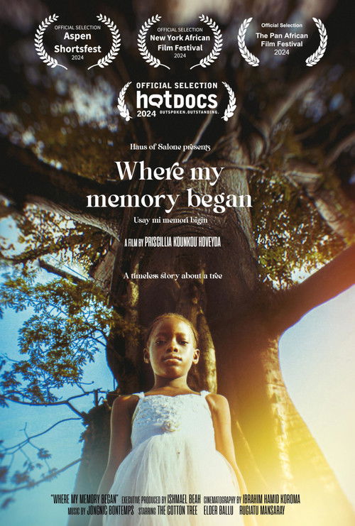 Where My Memory Began (2024) poster