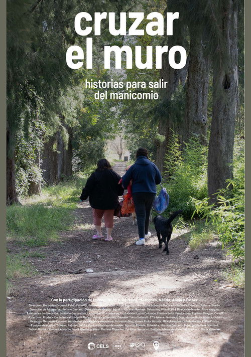 Cruzar el muro (2023) poster
