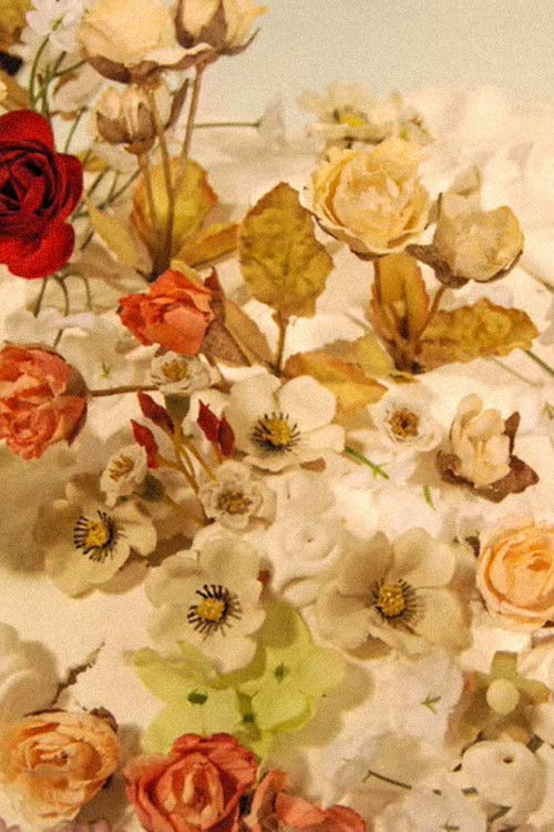 Hobo Clown (2008) poster