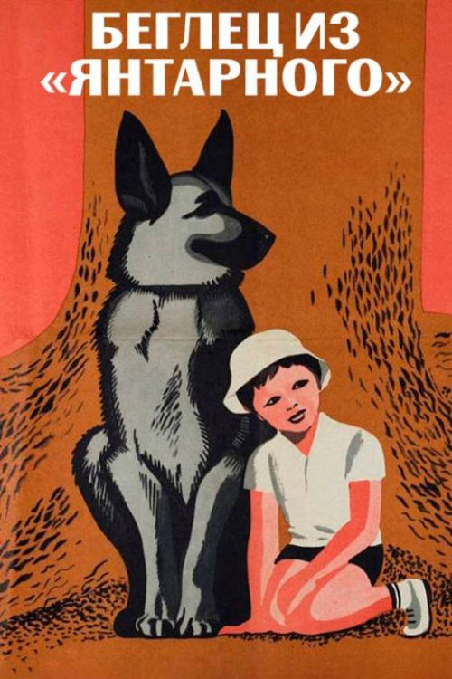 Беглец из «Янтарного» (1969) poster
